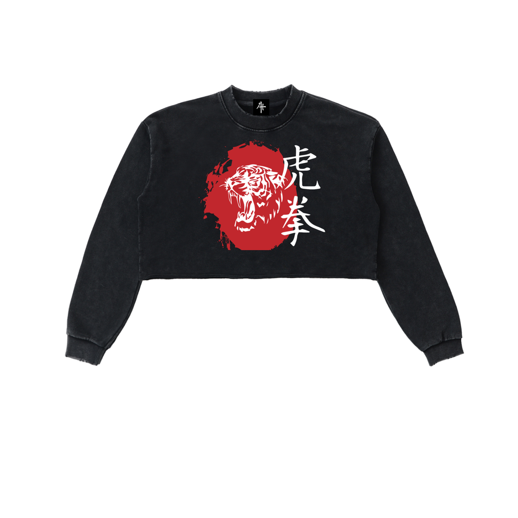 Snow Washed Raw Edge Cropped Sweatshirt